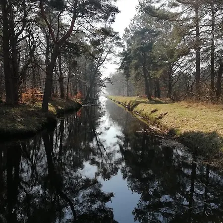 Poezja Ciszy Tatil Evi