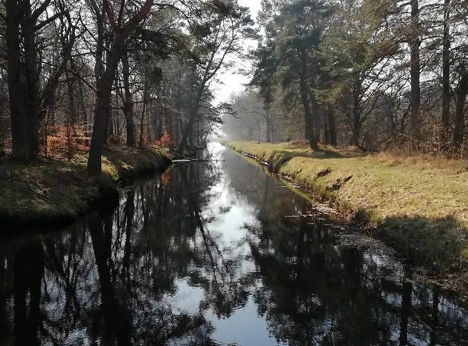 Poezja Ciszy Nyaraló
