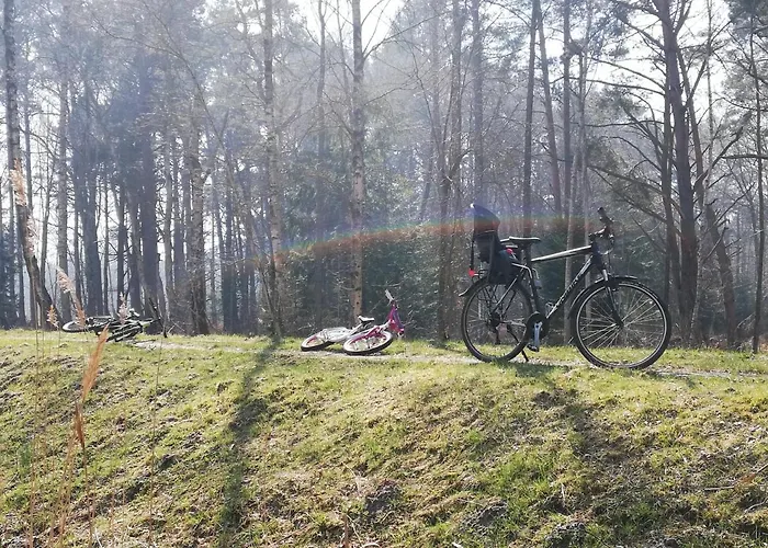 Domki I Apartamenty Poezja Ciszy Debki Dębki